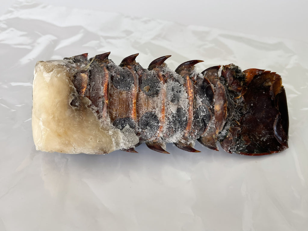 Cola de langosta roja individual