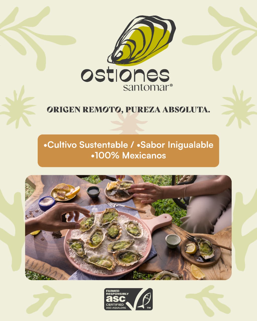 Ostiones Santomar medianos
